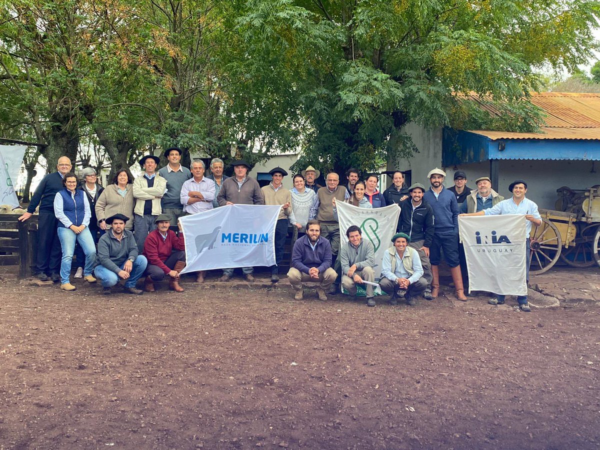 merilinuy's tweet photo. Gira Anual MERILIN 2023
Departamentos de Salto y Artigas.
Gracias a quienes nos recibieron, a los que acompañaron y en especial a la colaboración de @SUL_uy e @INIA_UY 
@GabrielCiappes1 
@MarcosGP10 https://t.co/p6RNbHpZKp