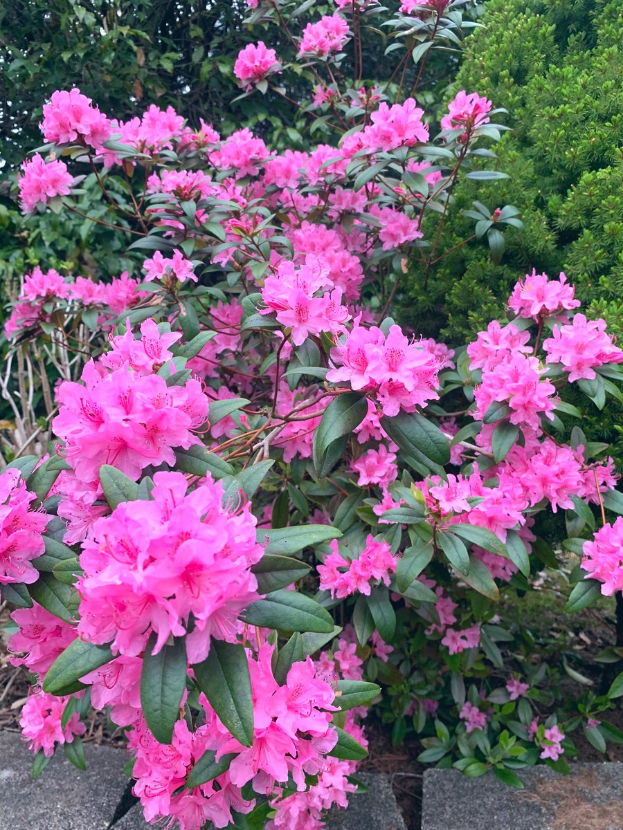 the energy lately ✨

sending love &amp; safety to u reading this with ur cute eyes ye 🥰