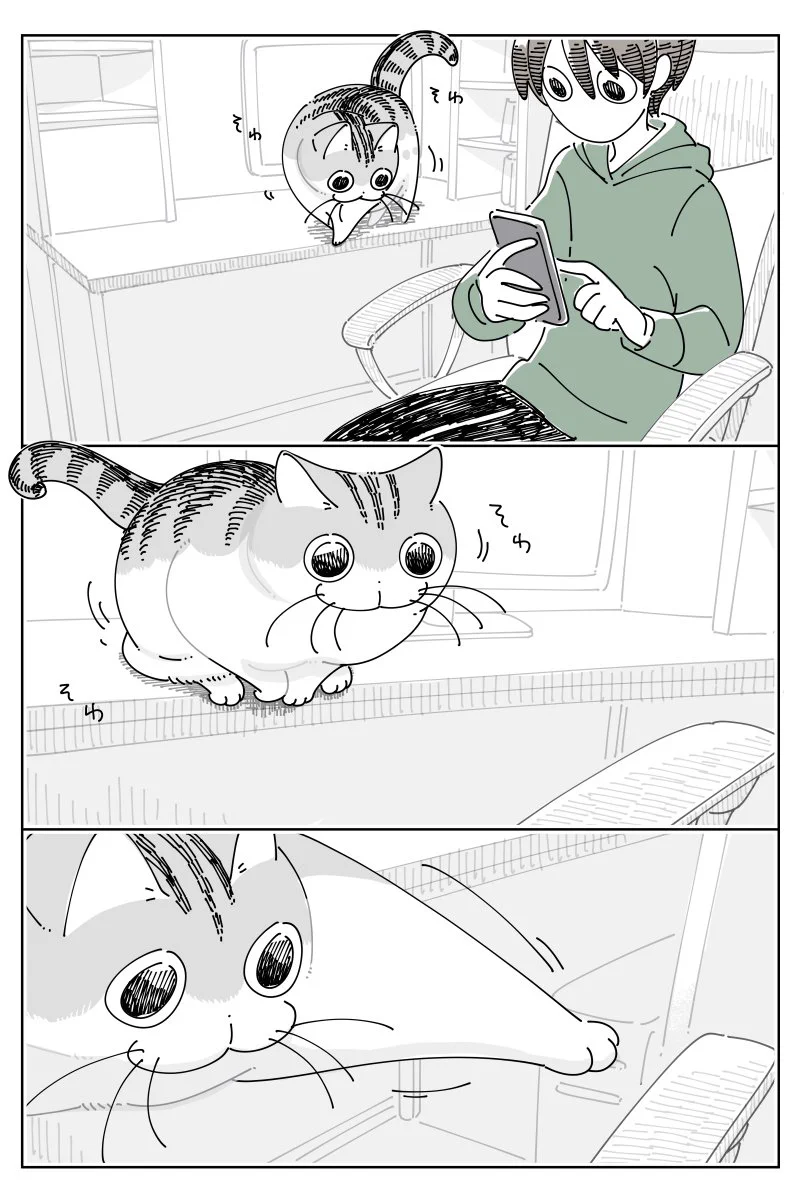甘えにきてくれたと思いきや･･･！ちょっと届かない、そんなお話を描いた可愛い「猫漫画」が話題に！