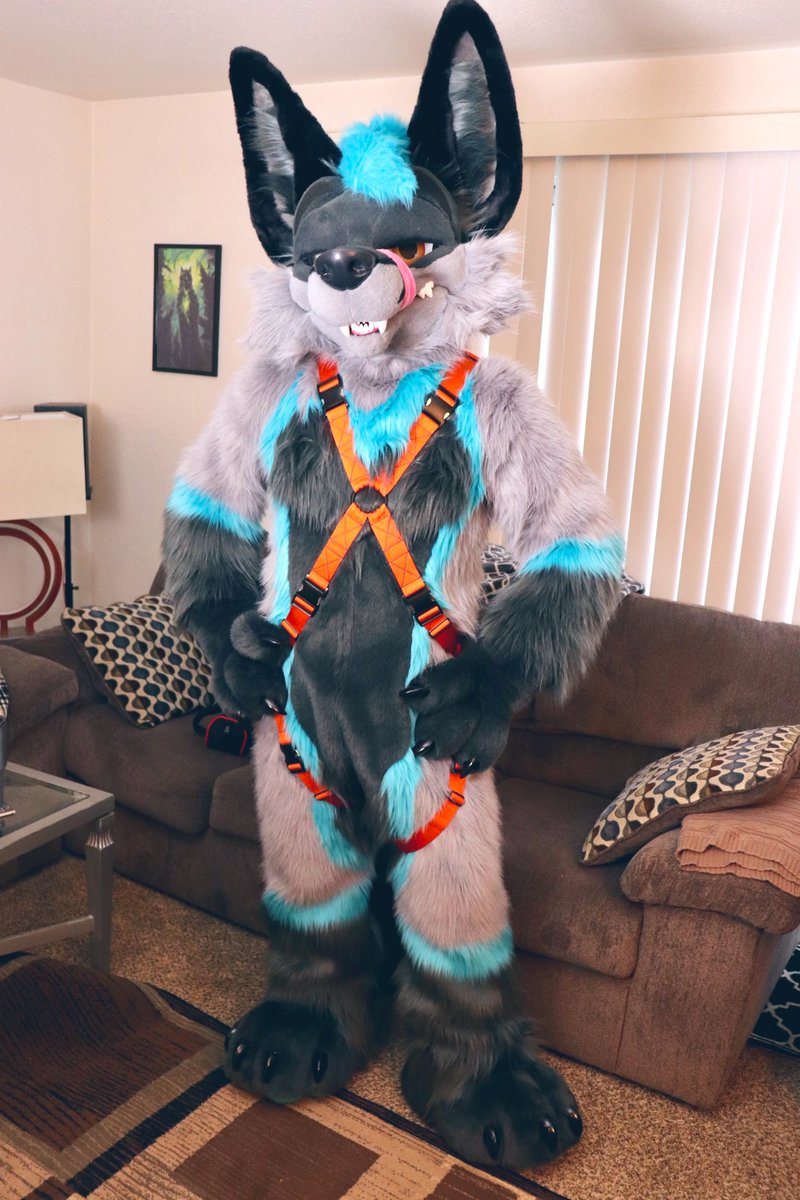 𝙼𝙾𝚂𝙷 tweet media