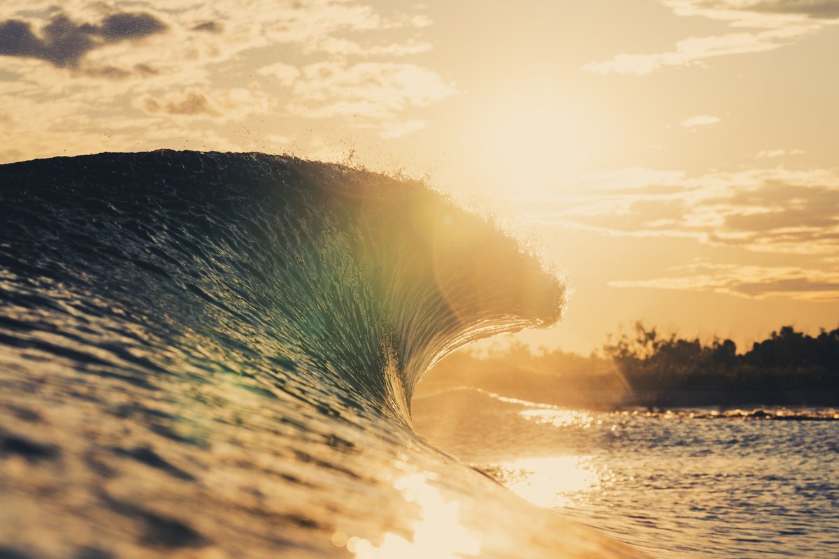 Surf_Lakes's tweet photo. Which is your favourite @ramboestrada portrait? ◀️ 🌊 ▶️
#surflakes #surfing #wavepool #wavetech
#surflakesyeppoon #wavepark #waves
#everyonegetsabreak #artificialwave #visitcapricorn https://t.co/pYN6QcVQcm
