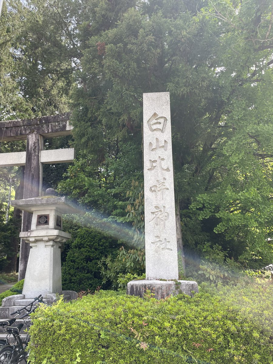 aki20008008's tweet photo. いやローカル線、めっちゃ揺れるやん🤣これも旅の楽しい思い出になるかなw
ということでずーっときたかった神社⛩️に来ました。
参道が感動ものです💓 https://t.co/b5j72crPQY