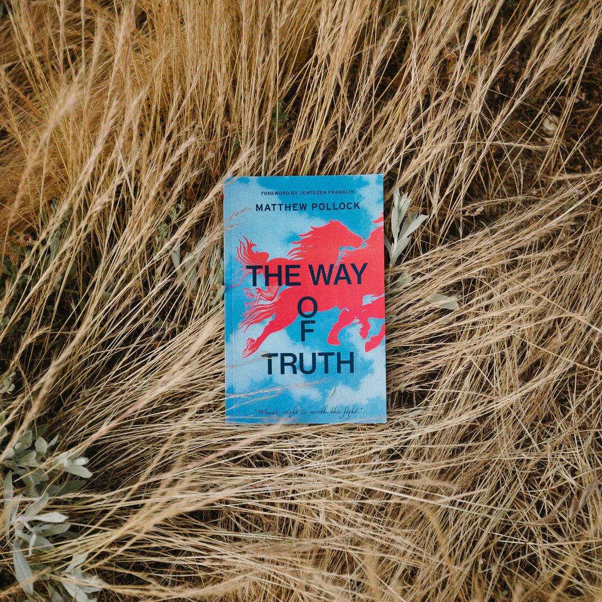 MatthewPollock1's tweet image. The time has come! Sincerely excited about the completion of The Way Of Truth. My prayer is that this would be a resource to strengthen your walk with the Lord and bring you closer to Him. 

Coming this summer!