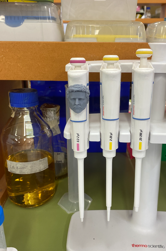 Massey Neurogenetics Lab tweet media