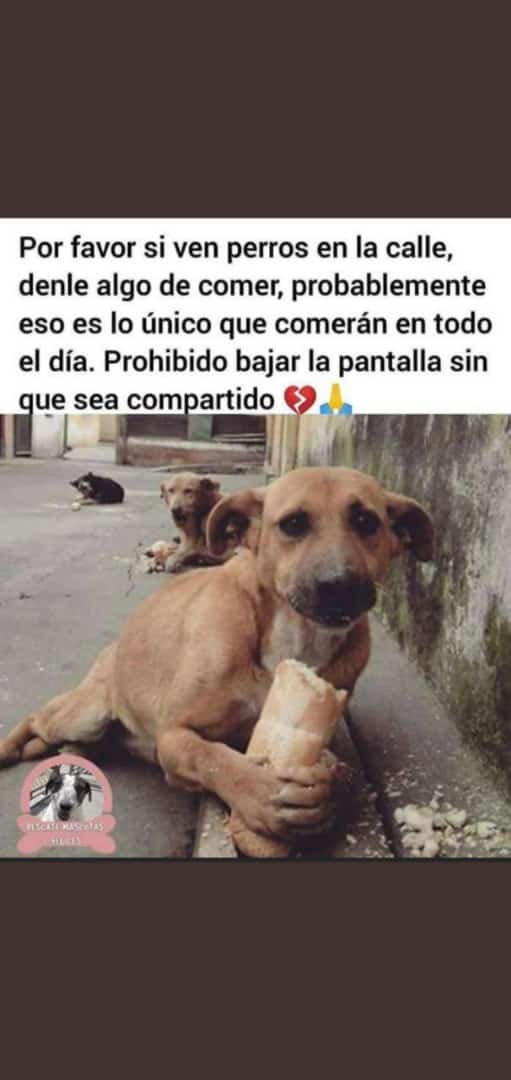 EAristeguieta's tweet image. 