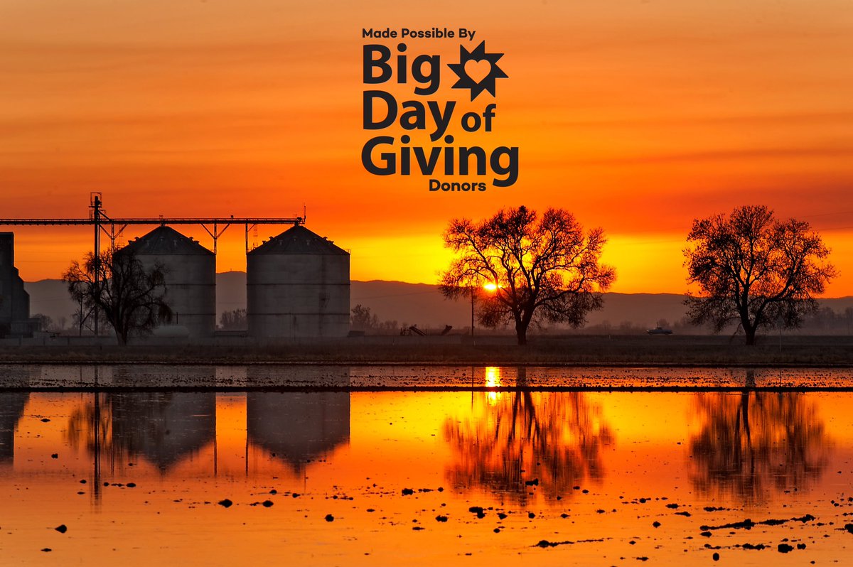 CalWaterbirds tweet media