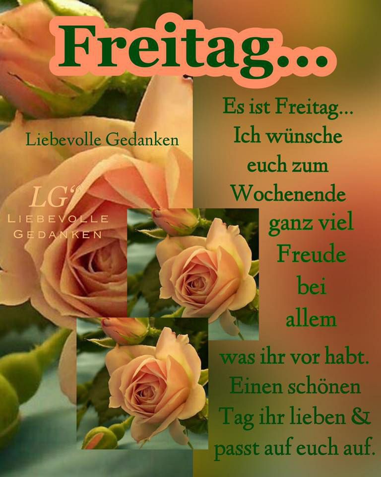 heimosteiner1's tweet photo. https://t.co/kc4JArAzdp