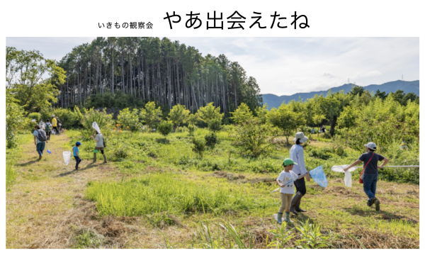東川町国際写真フェスティバル tweet media