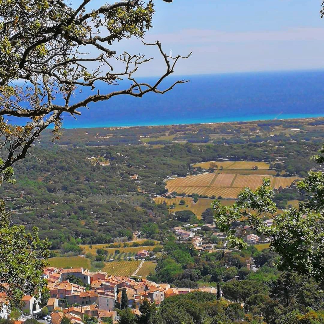 BikeHireDirect's tweet photo. Weekend idea: Hire bikes from Nick at @VarBikeHire &amp; enjoy a bike ride in #Provence.... enjoying beautiful views of #CotedAzur !

For information on our great value bike hire visit https://t.co/fksDur7QMC 🙂 

#ProvenceAlpesCotedAzur #France #French #BikeHireDirect #DispoVelo https://t.co/K94X9SyX7y