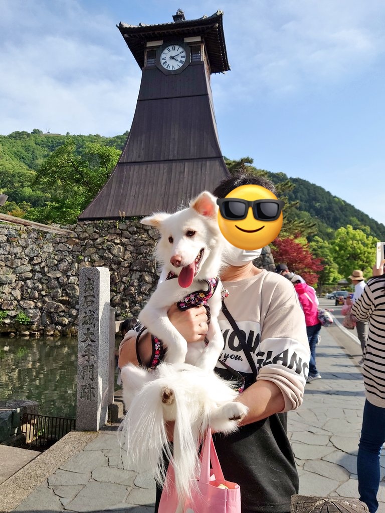 HuskyVanilla's tweet photo. 昨日、出石に行ってきたよ〜🐶
途中で寄った道の駅 但馬のまほろばで猿まわしやってた🐒可愛いかった。一緒に撮って貰った🐒🐕
皿そばはペット可の所に行きたかったけどいっぱいで無理だった😢出石城跡を散歩して帰ったよ
 #保護犬 #元野犬 #ビビリ犬 #いぬのいる暮らし #猿まわし  #出石 #まほろば https://t.co/jpSrzJQCRt