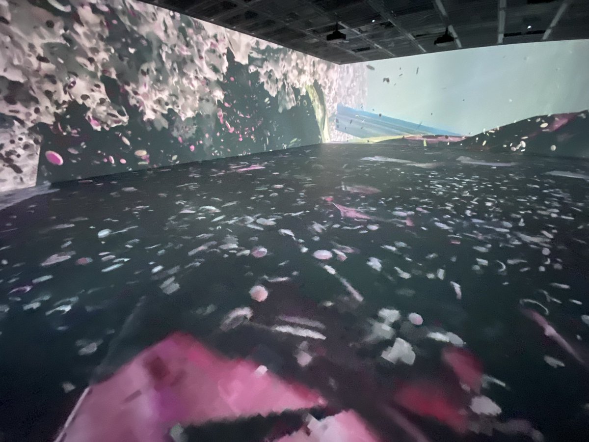 Yoon Chung Han tweet media