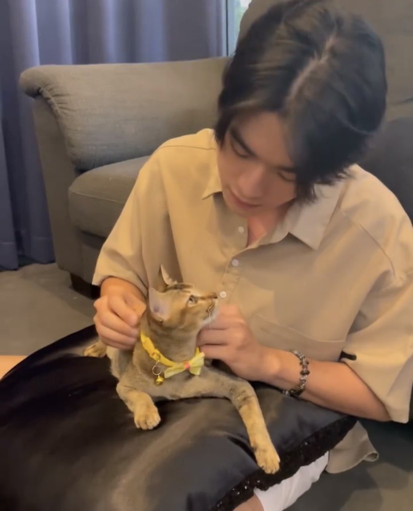 liycrush's tweet photo. ⠀⠀⠀⠀⠀⠀⠀⠀⠀⠀⠀⠀⠀⠀

𝗹𝘂𝗸𝗲𝘀𝗼𝗺 𝗎𝗉𝖽𝖺𝗍𝖾 𝖨𝗇𝗌𝗍𝖺𝗀𝗋𝖺𝗆 .ᐟ
* @𝗽𝗵𝗯𝗽𝗵𝗯_ 
⠀⠀⠀⠀⠀⠀⠀⠀⠀⠀⠀⠀⠀⠀⠀⠀⠀⠀⠀⠀⠀⠀⠀⠀ https://t.co/lFnA9vzJS7