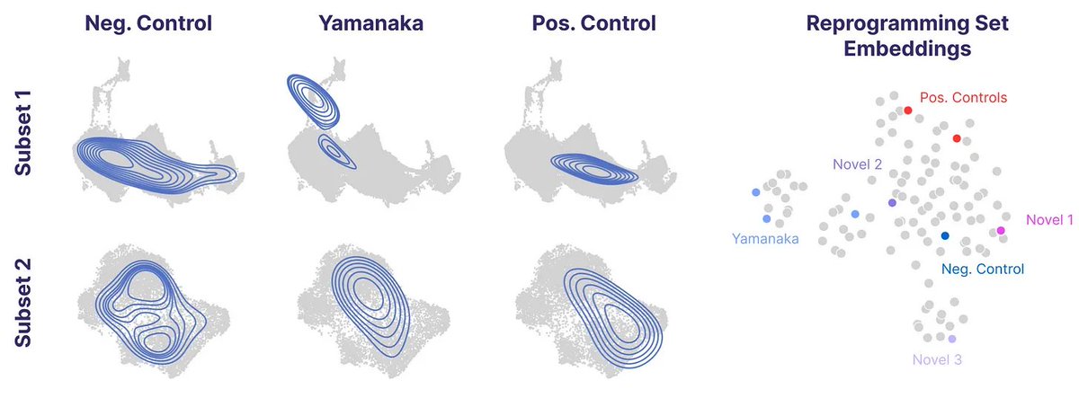 Jacob Kimmel tweet media