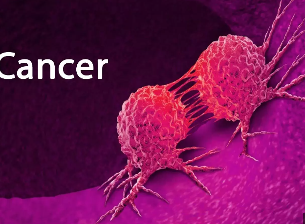 Cancer_Whioce's tweet photo. News:🤓🤓
To boost #cancer #immunotherapy's fighting power, look to the #gut
Study reveals how gut #microbes alter the body's #response to cancer immunotherapy

Read more:👇
https://t.co/mO5Vy3bvMU https://t.co/Fy72bnapQ5