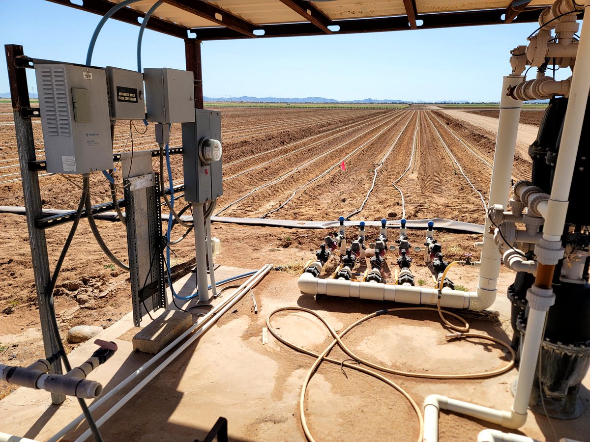 DebankurSanyal's tweet photo. We are evaluating soil health under different irrigation strategies... field is laid out, and cotton seeds have germinated... fingers-crossed!
#SoilHealthExtension
#SoilHealth
#SustainableAgriculture
#HealthyDesertSoilsInitiative https://t.co/hDFeGY66fB