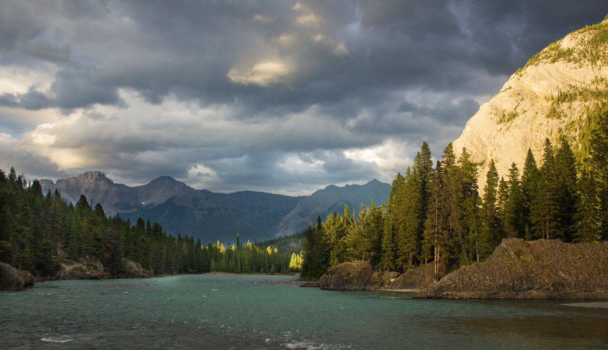 The #CMRoachPhotos shop will close at 11:59pm on May 31, 2023. Now’s the time to get your last purchases in - prices on the shop reduced by around 25% to say thanks!

Want to browse the pictures for sale: head to 
cmroachphotography.ca/buypictures
