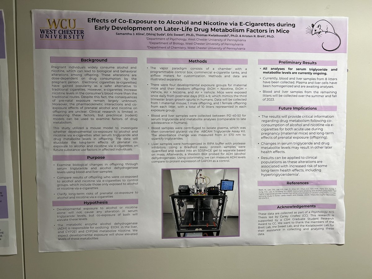 The Breit Lab 🧠✨ tweet media