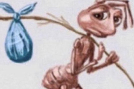 marsupialmojado's tweet photo. asi me siento cuando me hacen cara de fastidio cuando me pongo a hablar sobre algo que me gusta https://t.co/28CI9TcSUW
