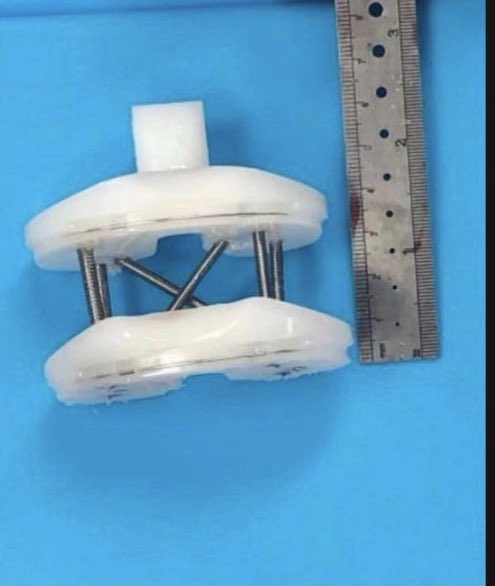 disasterplasty tweet media