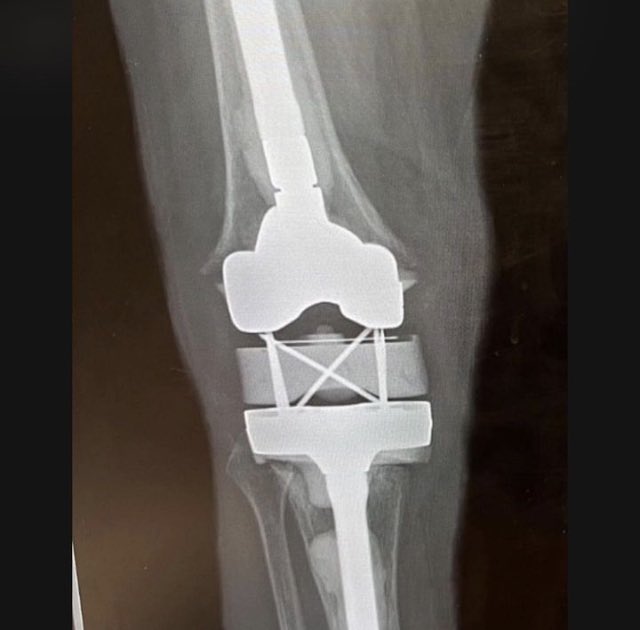 disasterplasty tweet media