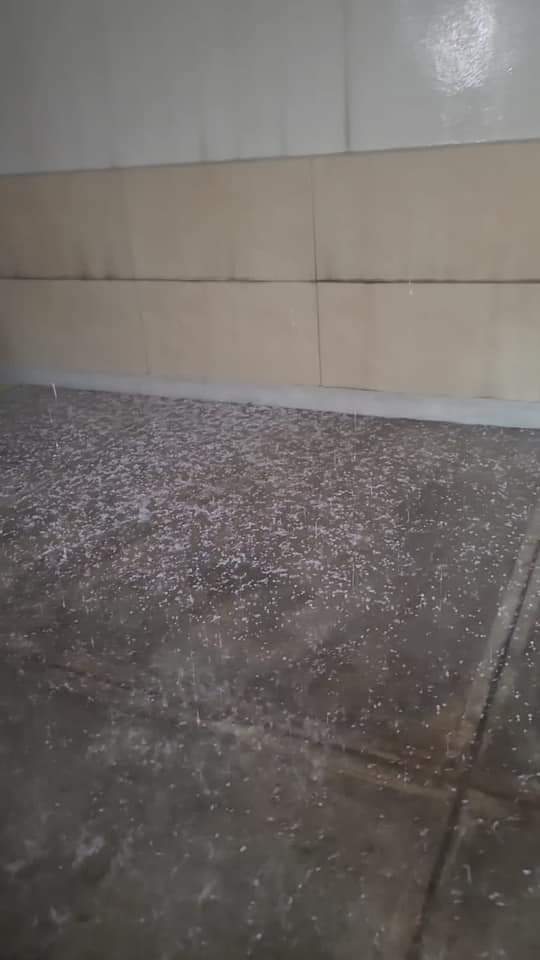 Informativo3651's tweet photo. #ClimaMty 
Reportan lluvia y granizo al  norponiente de #Monterrey
En el sector de Solidaridad algunas calles presentan encharcamientos. 
@MtyFollow @Mty_Leones https://t.co/Wi0Xr8I0ji