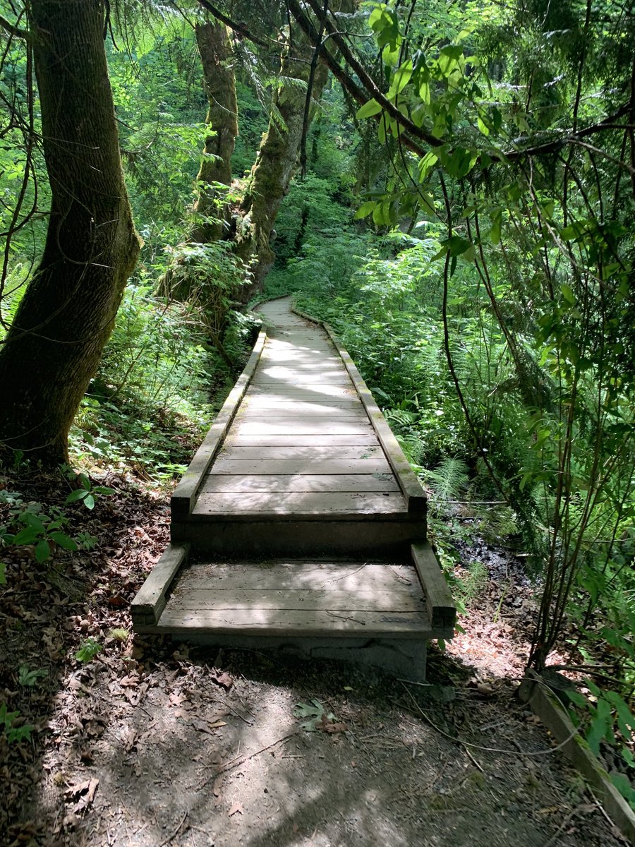 DAVID (@david4valle) on Twitter photo 