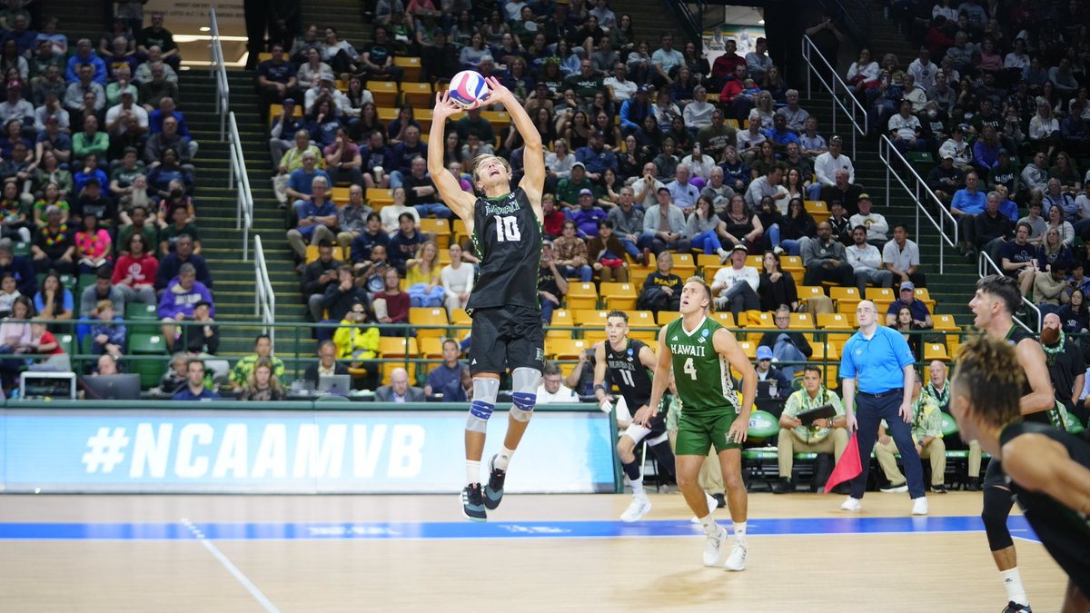 Hawaii Men's Volleyball tweet media
