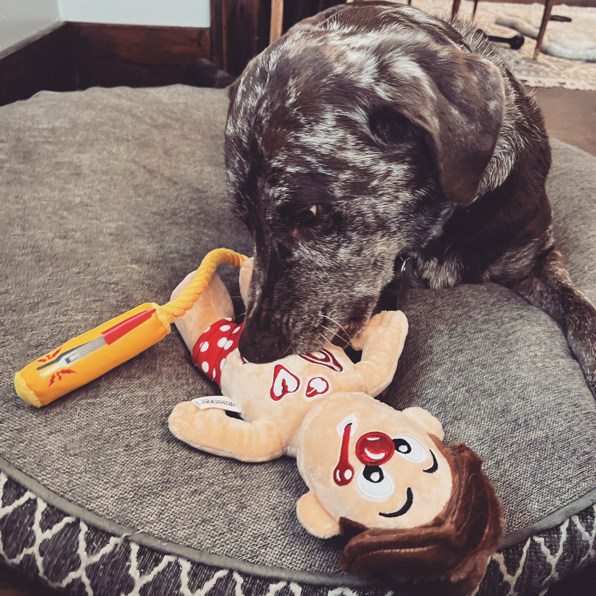 Maria E. Tecos, MD tweet media