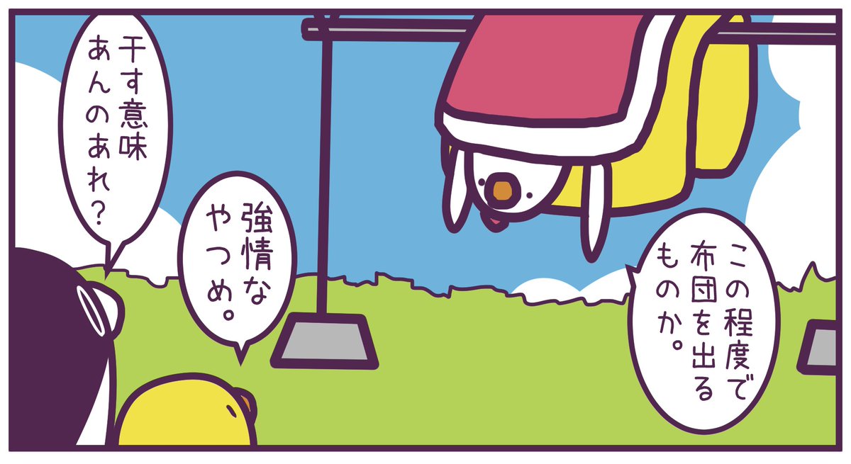 5263
