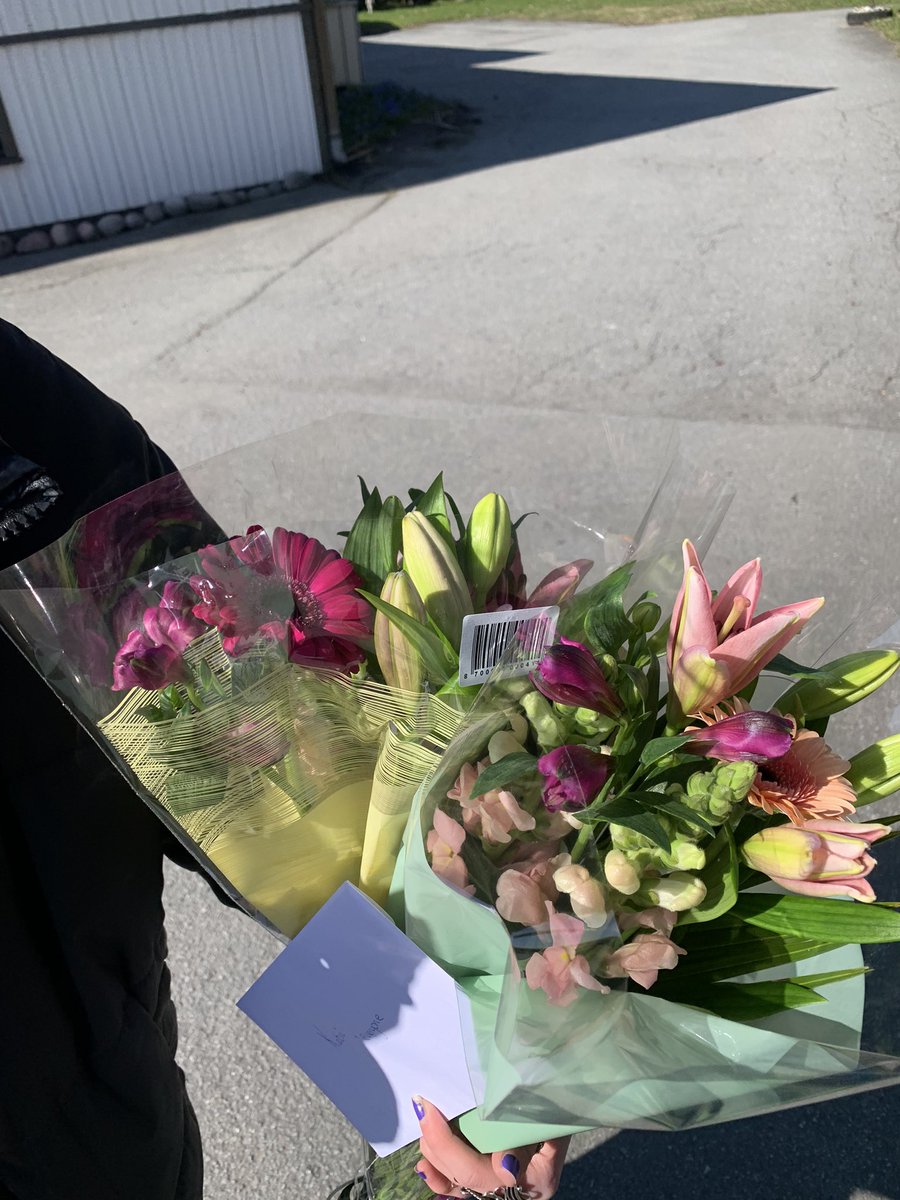Bought some flowers and a card for the lovely owner of the salon yesterday to say thank you!
#erasmus23
#gifhe