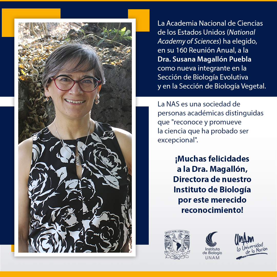 Susana Magallón tweet media