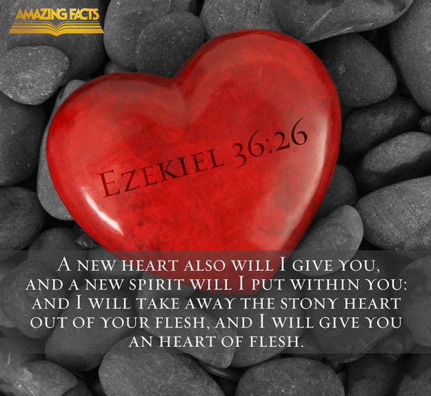 DulleyTopBooks's tweet photo. For in God we continue...
#PrayerForLove 
#PrayerForHope 
#PrayerForLife https://t.co/Qpz5hc8yWl