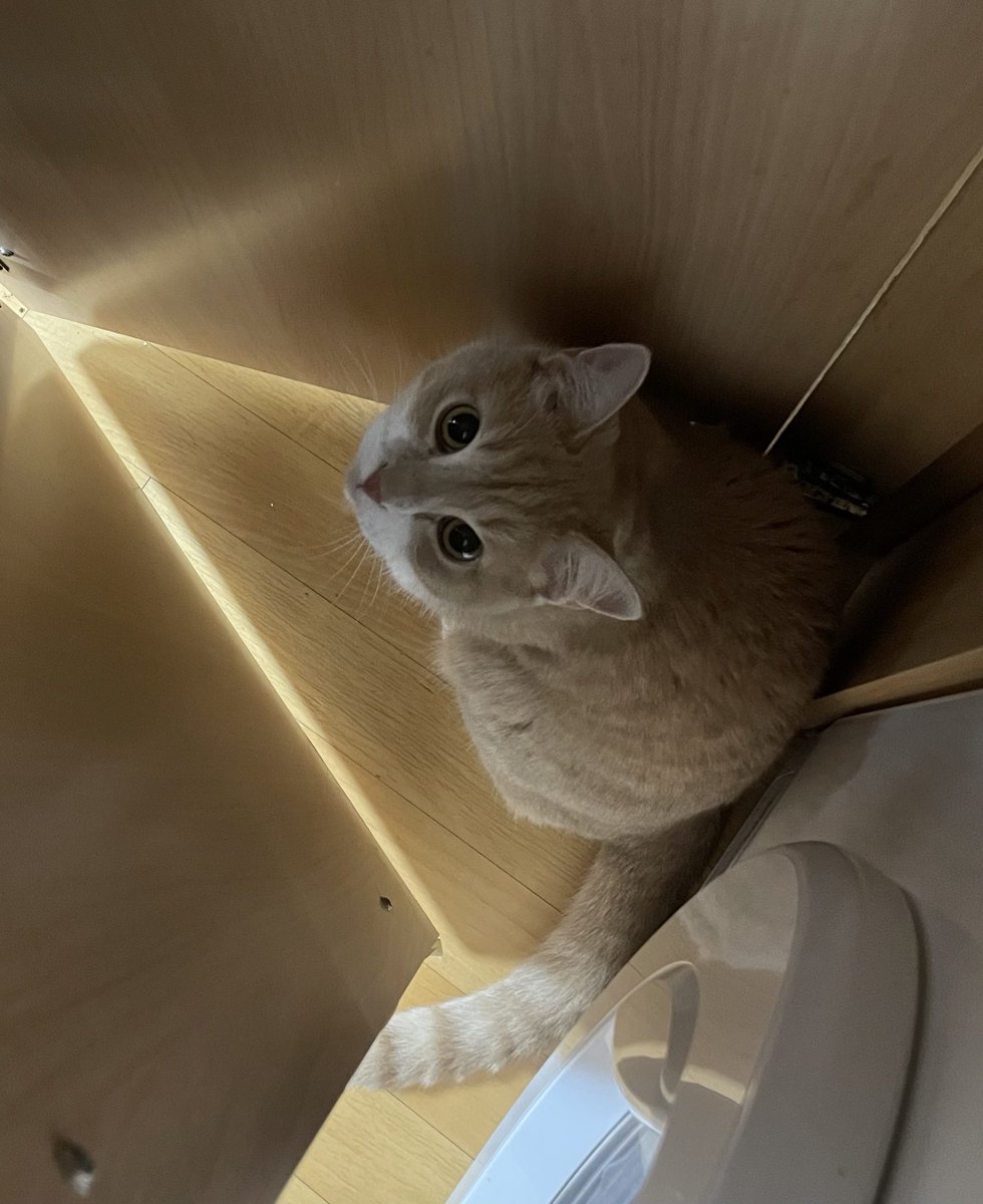 어린이랑 숨바꼭질 놀이중ㅋ