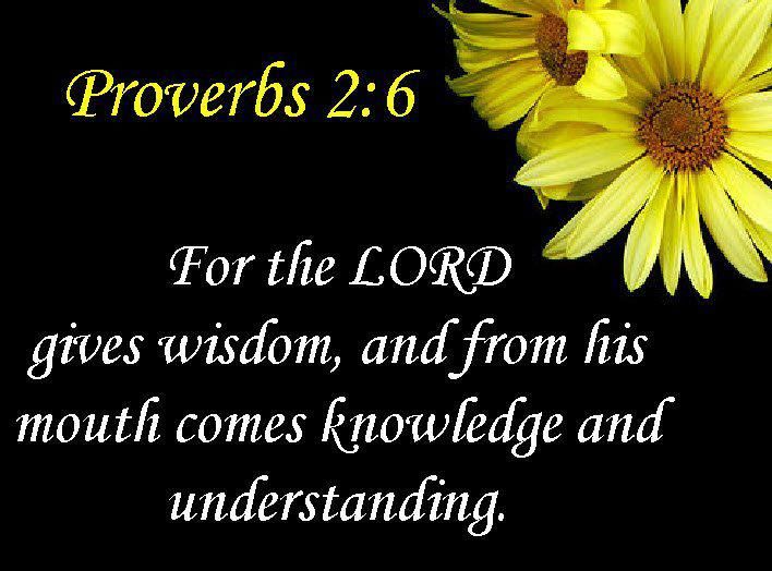 When we obtain wisdom from God, we take the right path. We have confidence in Him and trust in what He says, and not our own understanding. So today, seek the face of God for wisdom!