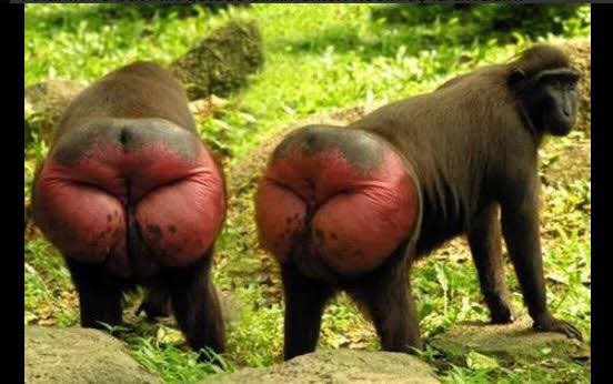 Xotinni kochada sikishini tomosha qiling Chiroyli jojalar ozlarini suratga olishmoqda