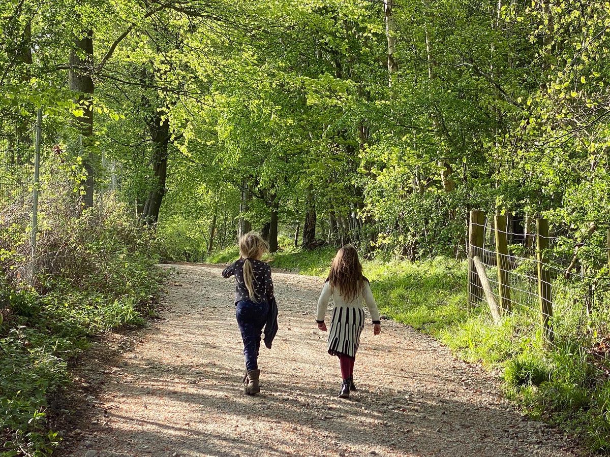 WalkinginKent's tweet photo. More bluebells in Chilham.
.
#chilham #walkinginkent #walkingwithkids #walkinguk #bluebells #bluebellwoods #wildflowers #ancientwoodlands #kent #kentdowns #kentaonb #godmersham #walkingforfun #walkingwithfriends #lovewalking #walkingthedog #peakbluebell https://t.co/uoWquXp8jr