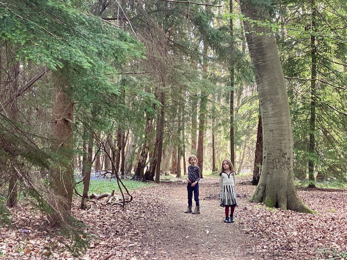 WalkinginKent's tweet photo. More bluebells in Chilham.
.
#chilham #walkinginkent #walkingwithkids #walkinguk #bluebells #bluebellwoods #wildflowers #ancientwoodlands #kent #kentdowns #kentaonb #godmersham #walkingforfun #walkingwithfriends #lovewalking #walkingthedog #peakbluebell https://t.co/uoWquXp8jr