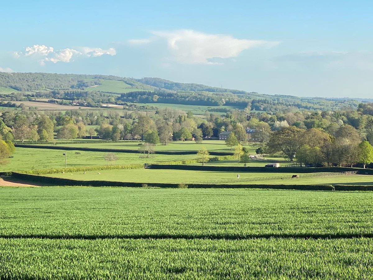 WalkinginKent's tweet photo. Stunning views over Godmersham.
.
#chilham #walkinginkent #walkingwithkids #walkinguk #view #scenicviews #kentcountryside #ancientwoodlands #kent #kentdowns #kentaonb #godmersham #walkingforfun #walkingwithfriends #lovewalking https://t.co/SE2m3XS36H