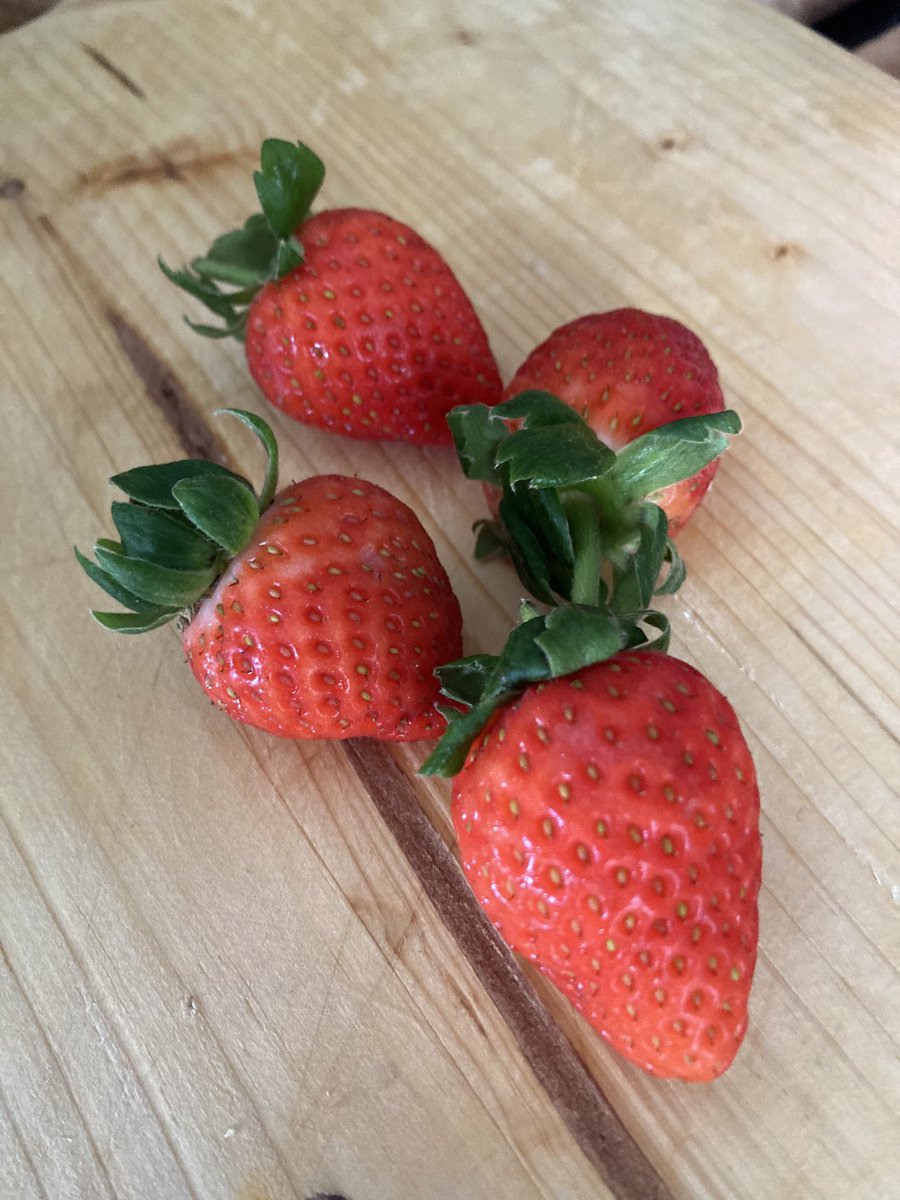 TomesReader's tweet image. Faluda Strawberry Oats #Oatnotes #Oatgloats