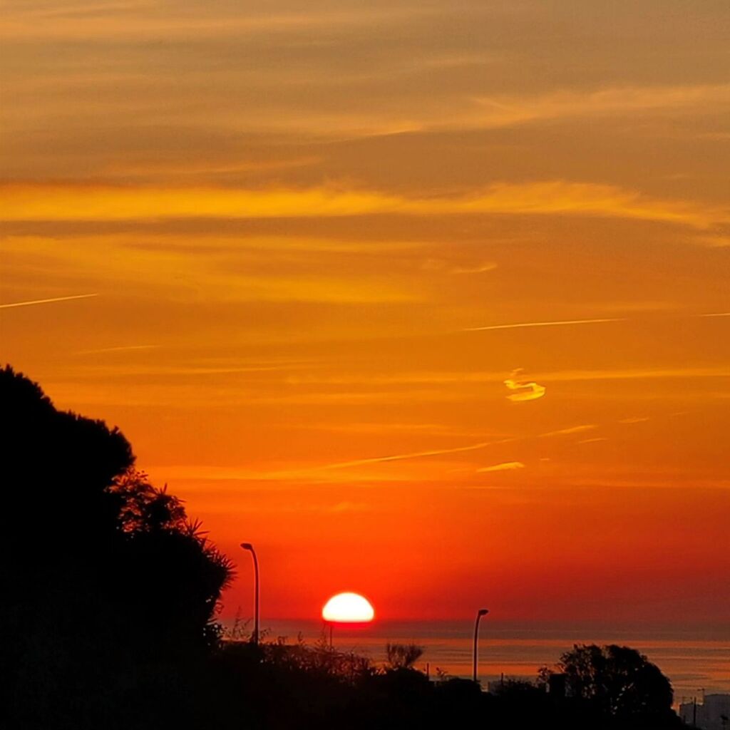 Bon dia! ja es aquí... quin dia es avui?? 😉

#hortaguinardo #Barcelona #Catalunya #albada #sortidadesol #dawn #sunrise #alba #salidadelsol
...
#catalunyagrafias #catalunyaexperience #ok_allpics #catalunya_natura #poblacions_de_catalunya #paisatgesdec… instagr.am/p/Cr2WuJhIO-i/