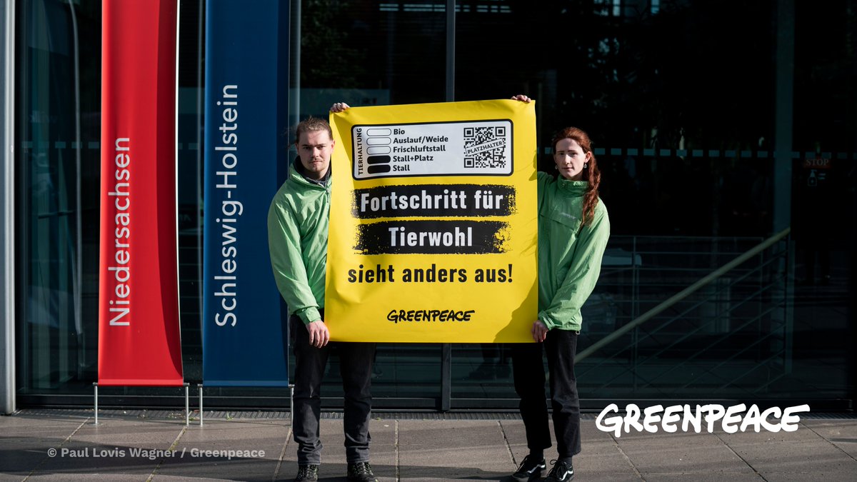 greenpeace_de's tweet photo. Was auf dem Label steht: Auslauf/Weide 🤗
Was drin sein kann: Fleisch von Tieren, die ihre ersten Lebenswochen in tierschutzwidrigen Kastenständen verbracht haben 😭

Herr @cem_oezdemir, Fortschritt für #Tierwohl sieht anders aus! Bitte nachbessern!

#SonderAMK #AMK @bmel https://t.co/rhYu5uRGXV