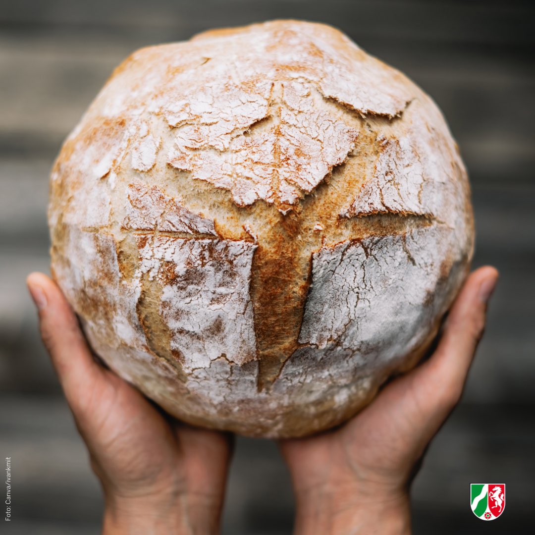 MLVNRW's tweet photo. Pausenbrot, Abendbrot, Brotzeit: Am heutigen #TagdesBrotes dreht sich alles um das Grundnahrungsmittel 🍞🥖 2021/2022 haben NRW-Backbetriebe Brot, Brötchen &amp; Co. im Wert von mehreren Mrd. Euro verkauft. Fun-Fact 💡 Eine der bekanntesten Sorten kommt aus NRW: Das #Pumpernickel. https://t.co/A2gMOha2e4