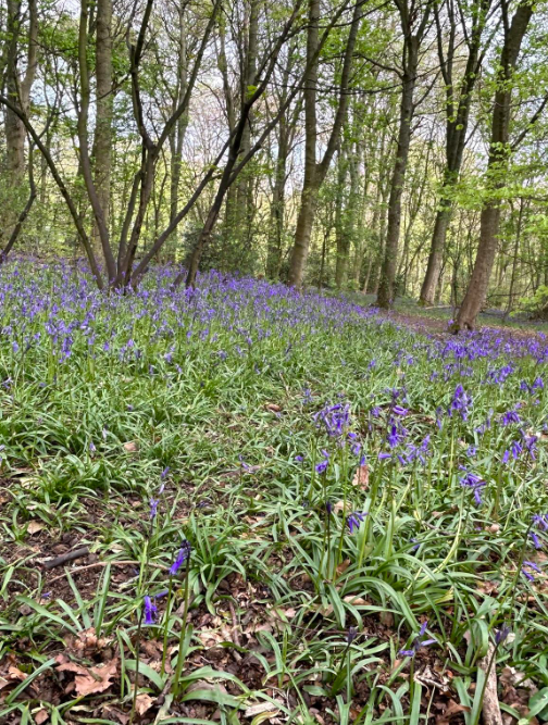 Our Account Manager Kate is walking 100 miles throughout May to raise money Cancer Research UK. If you would like to donate, please use the link below.
fundraise.cancerresearchuk.org/page/kates-giv…

We're very lucky that the ewe office is surrounded by lots of lovely walking routes!