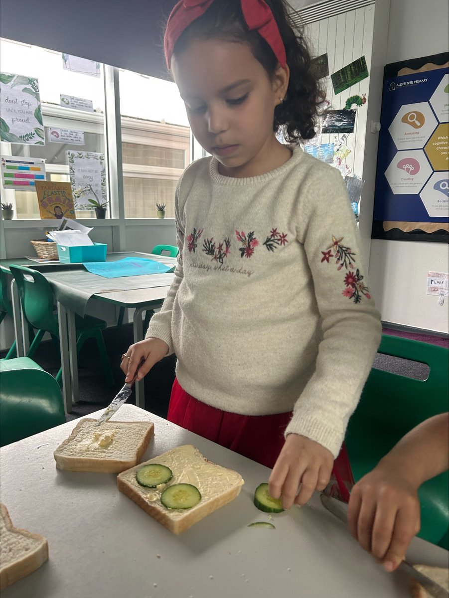 Alder Tree Primary tweet media