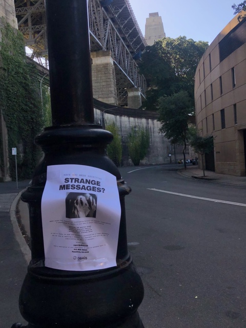 SeerSagacious's tweet photo. I went for a walk this afternoon and came across another couple of posters. Is this one enthusiastic member or are there more? quietly living in the suburbs? #DBRIS #Discoball https://t.co/fubl1yjFRm