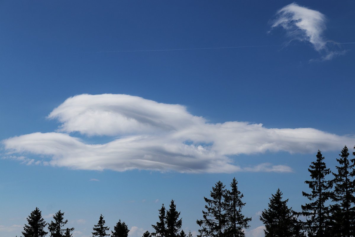 CHMUCHMI's tweet photo. #stanice Churáňov. 5.5. dopoledne se objevil tajuplný oblak stratocumulus lacunosus se zaokrouhlenými třásnitými otvory. Podle cejlometru mohl být cca 1 400 m nad stanicí.
Nad hranicí se objevil ještě stratocumulus lenticularis, uvádí meteorolog David Rýva https://t.co/uyCdn9IZcE