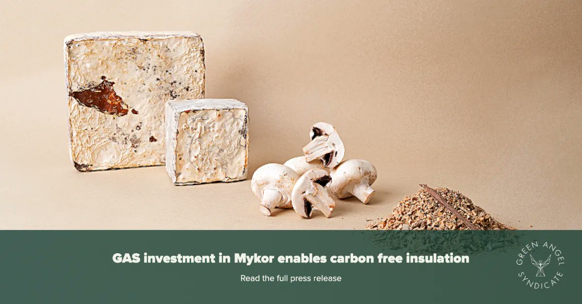 Green Angel Syndicate has led a pre-seed round into innovative carbon-negative insulation materials, enabling exciting #ClimateTech start-up Mykor's expansion plans ⭐ Read our full news piece: (LINK) #insluation #renewables #innovation #climateaction