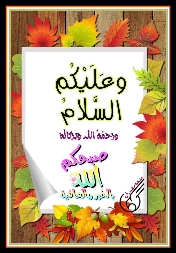 MDsalimullah231's tweet photo. @khalidmgld123 @Foufou579 https://t.co/nWxhPOTy0Q