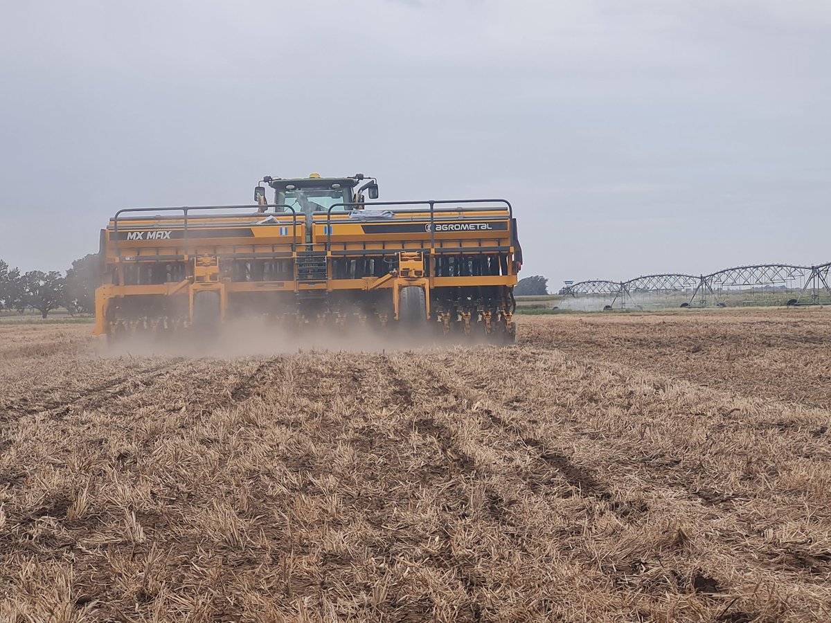 Fer Scaramuzza tweet media