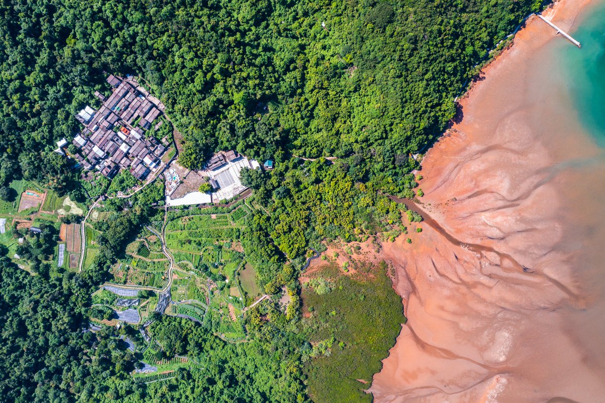 "Lai Chi Wo" is one of the oldest, best-preserved, ecologically diverse, and most picturesque villages in the northeast New Territories of Hong Kong. It has become a popular green tourism destination for locals.

#HongKongUNESCOGlobalGeopark
#LaiChiWo
#HongKong